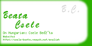 beata csele business card